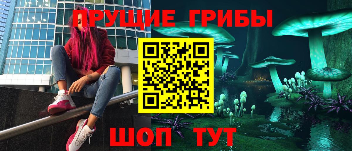Псилоцибиновые грибы Cubensis Шатура